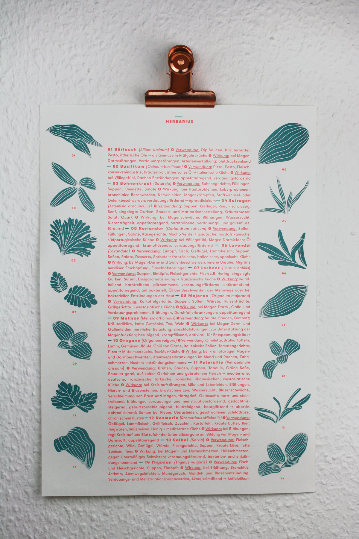 poster_plakat_kraeuter_riso_druck_herbs_design_kathleen_gust1